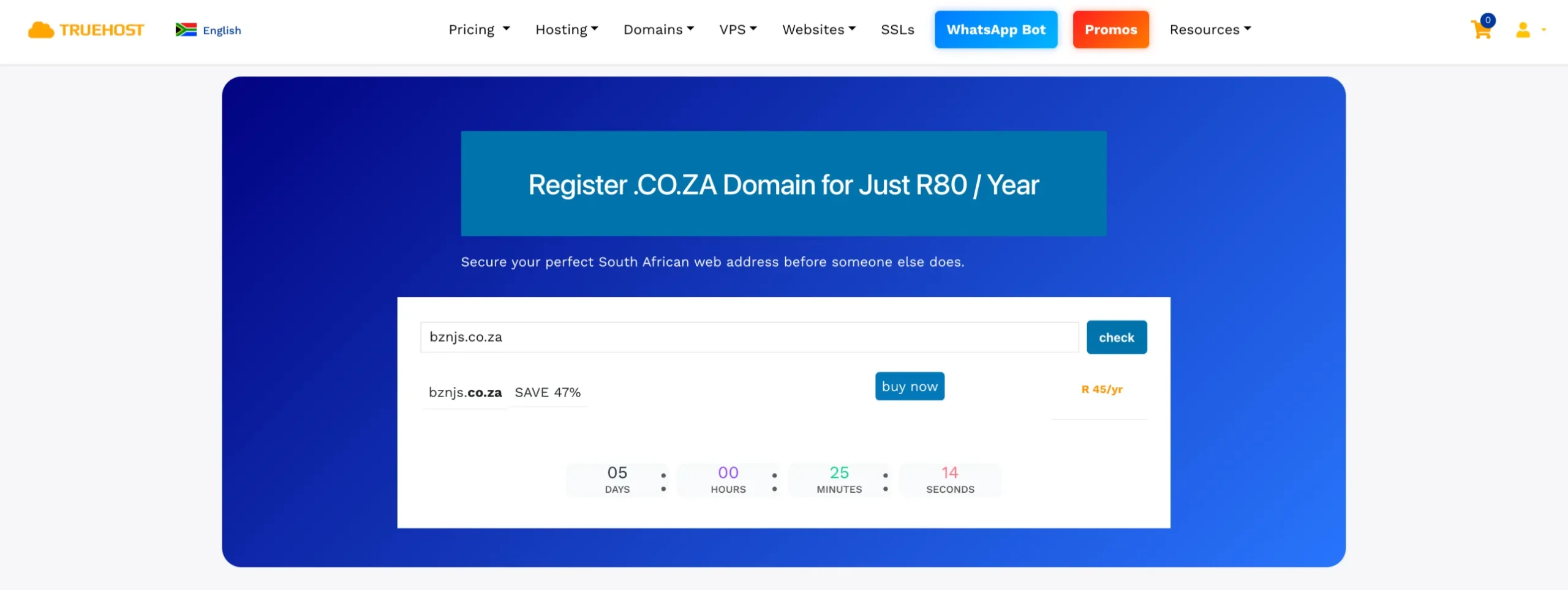 Truehost vs Afrihost South Africa
