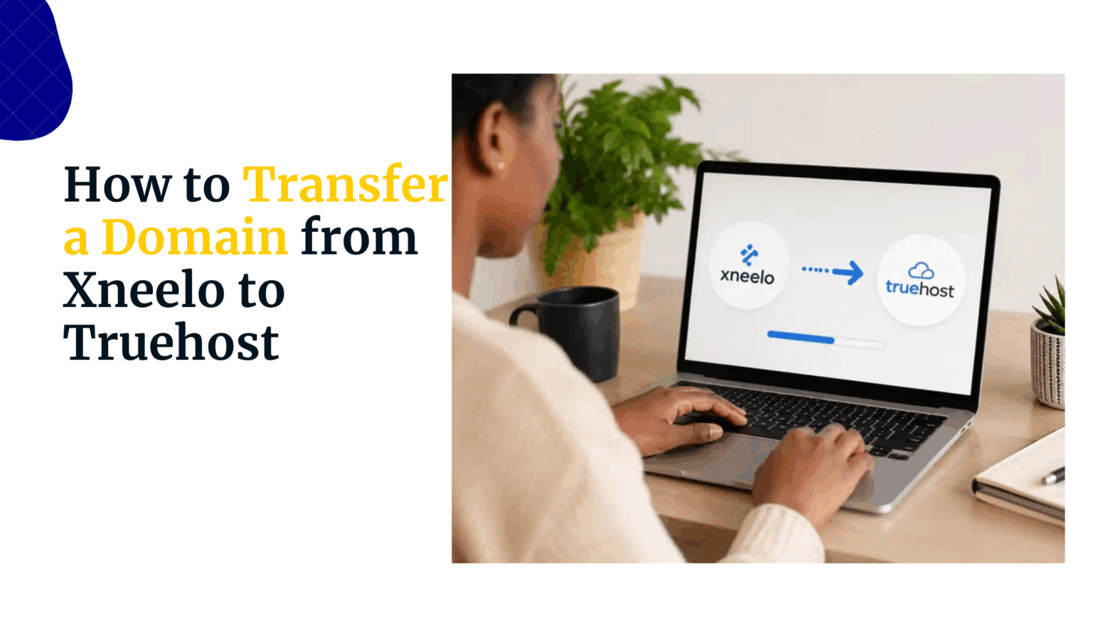 How to Transfer a Domain from Xneelo to Truehost