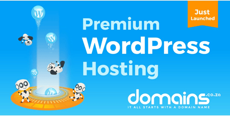 Web hosting in south africa premium wordpress