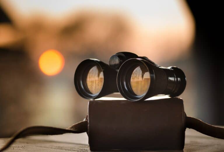 Domain Name Search in South Africa