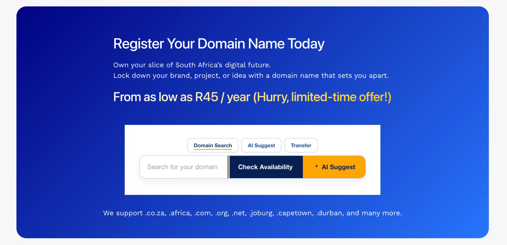 Domain Name Search in South Africa Fast