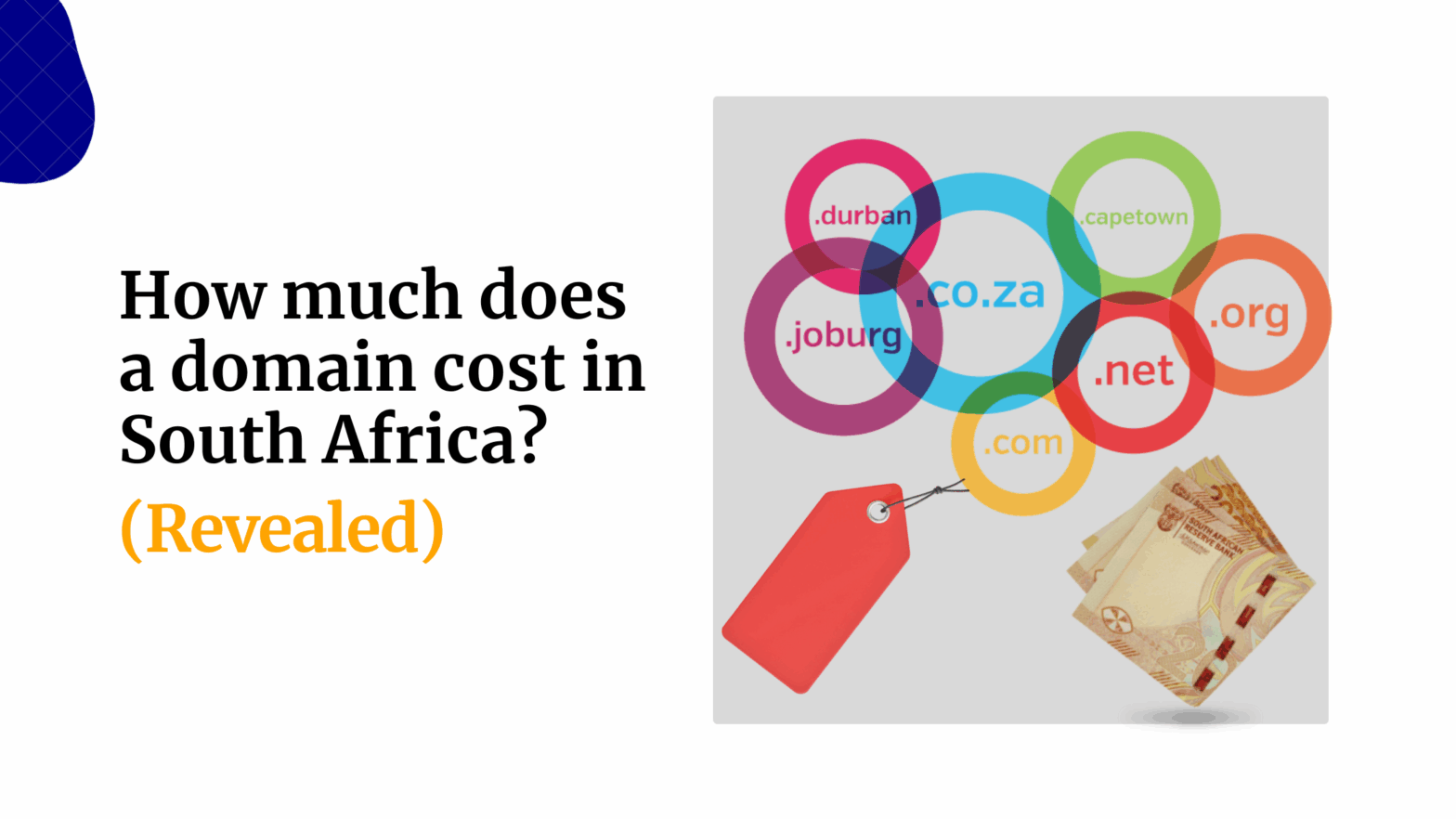 How much does a domain cost in South Africa Revealed