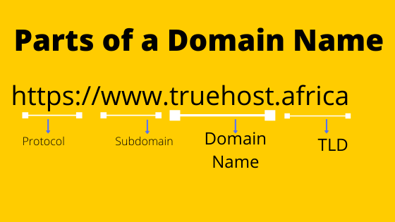 Parts of a Website Domain Name Explained