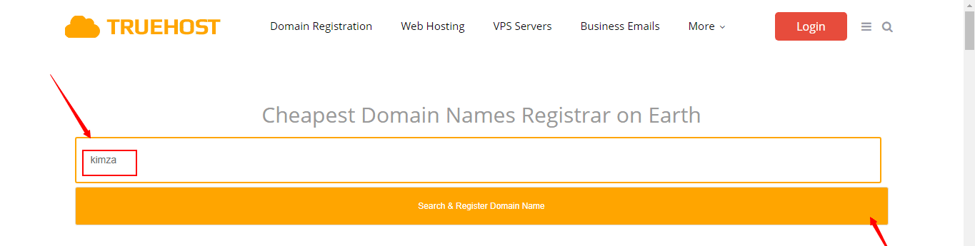 Truehost Domain Search