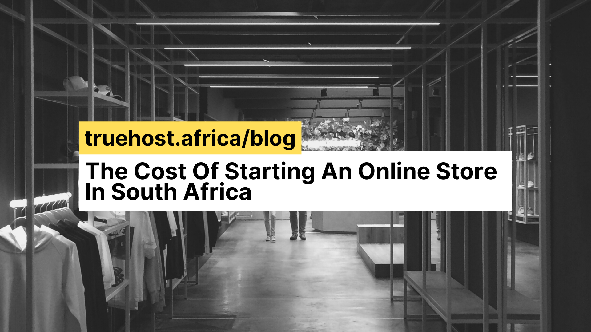 how-much-does-it-cost-to-start-an-online-store-in-south-africa