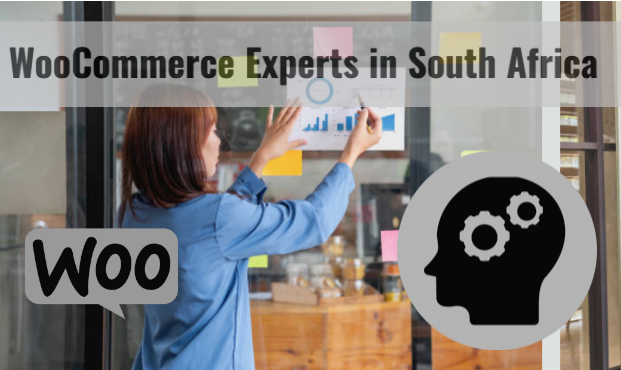 WooCommerce Experts South Africa