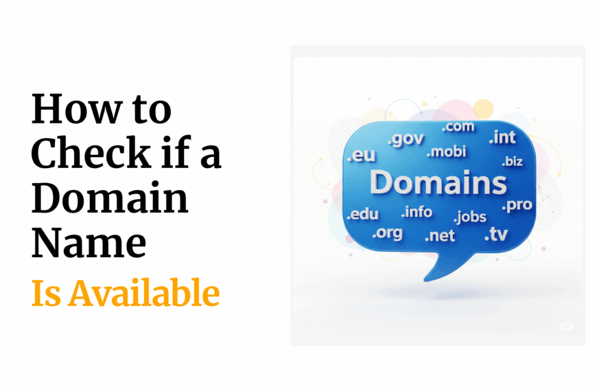 how to check a domain name