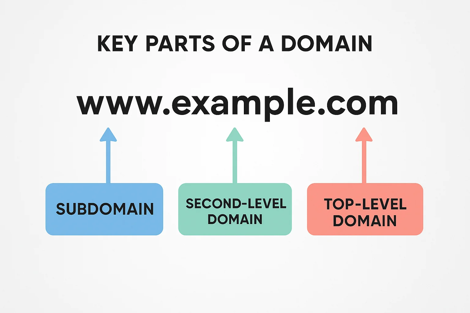 The Key Parts of a Domain Components of a Domain Name
