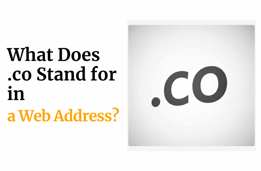 what does co stand for in a web address