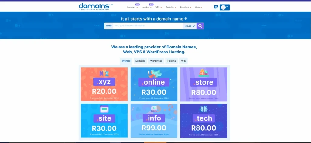 Domains.co.za screenhot 