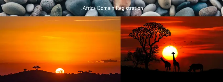 .africa domain