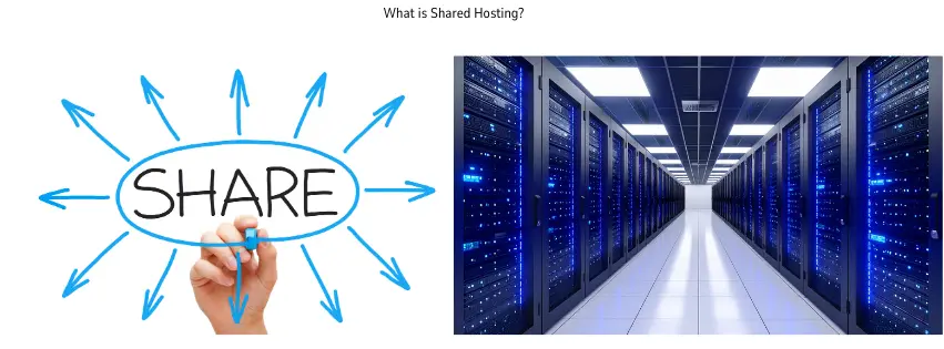 shared hosting