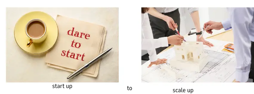 start up to scale up