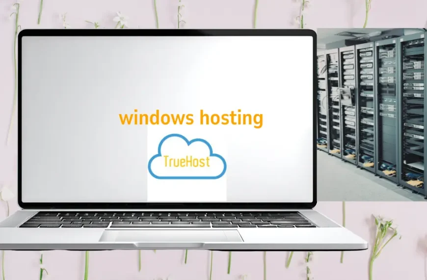 windows hosting