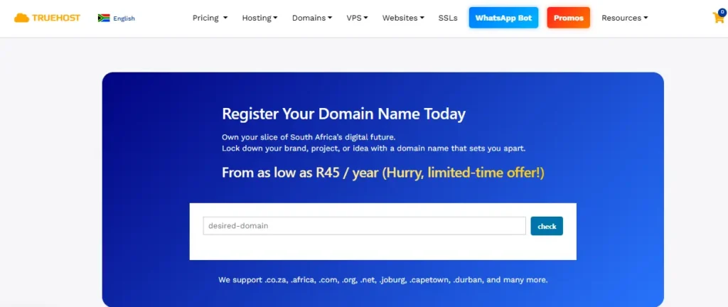 domain registration