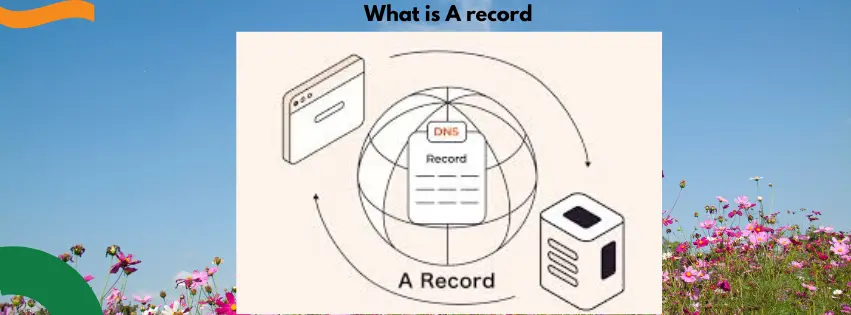 A record vs CNAME co.za domain South Africa