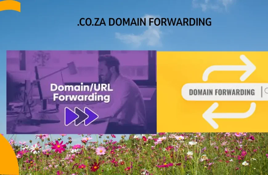 domain forwarding