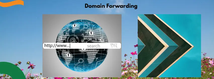 domain Forwarding