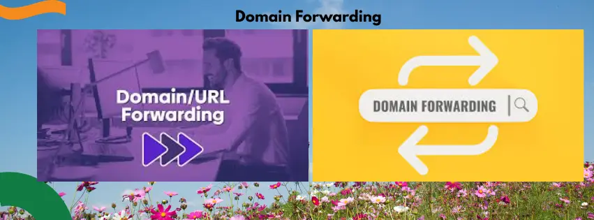 domain forwarding