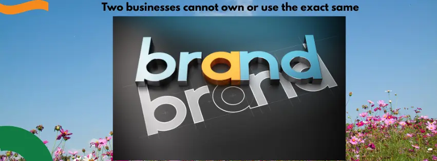 can two businesses have the same .co.za domain