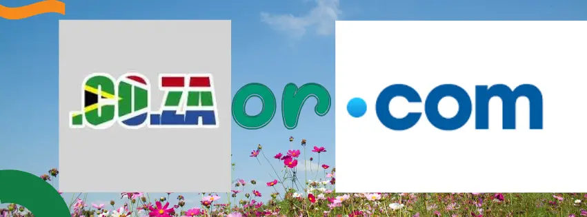.co.za vs .com