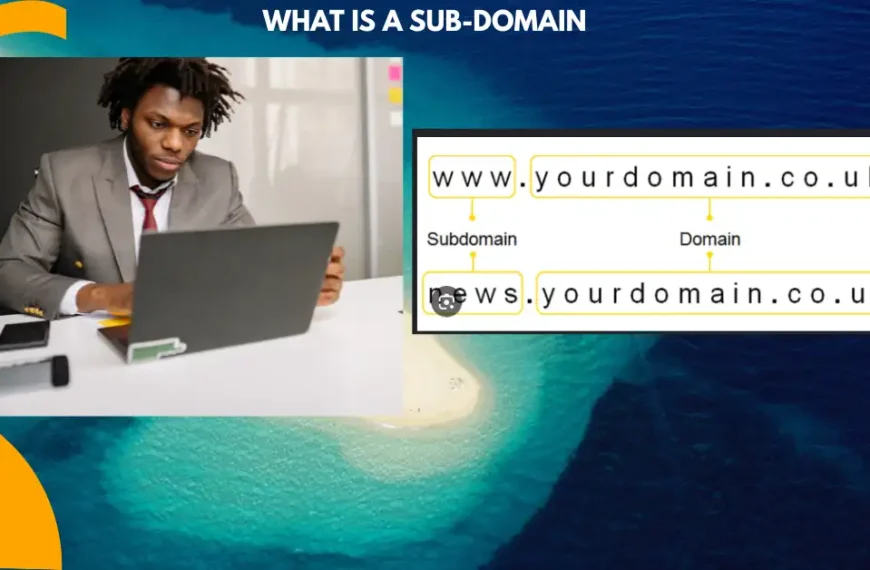 Subdomain