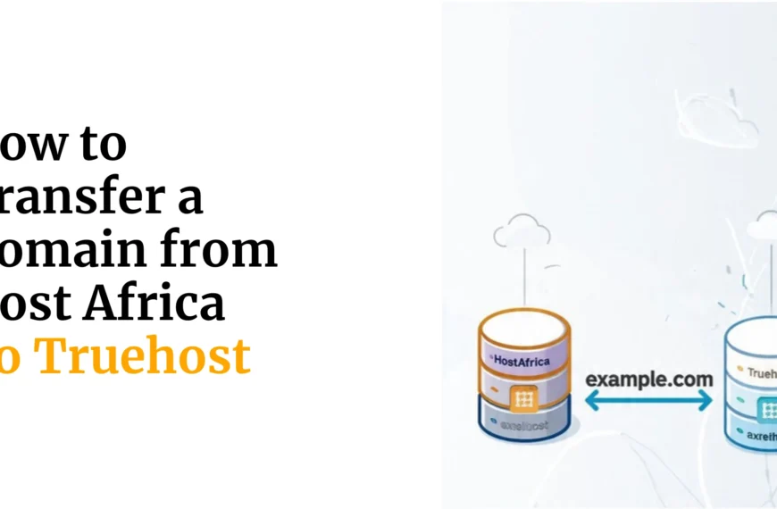 How to Transfer a Domain from Host Africa to Truehost