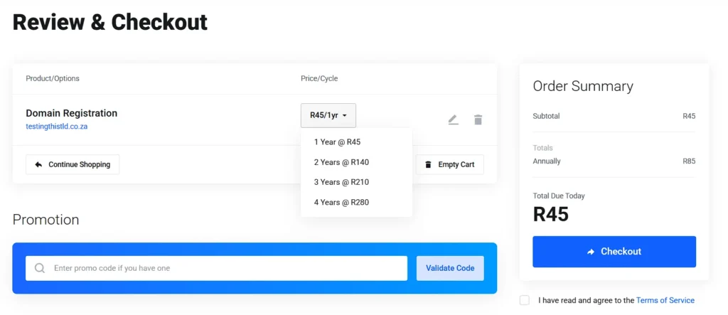 Review & Checkout domain registration period