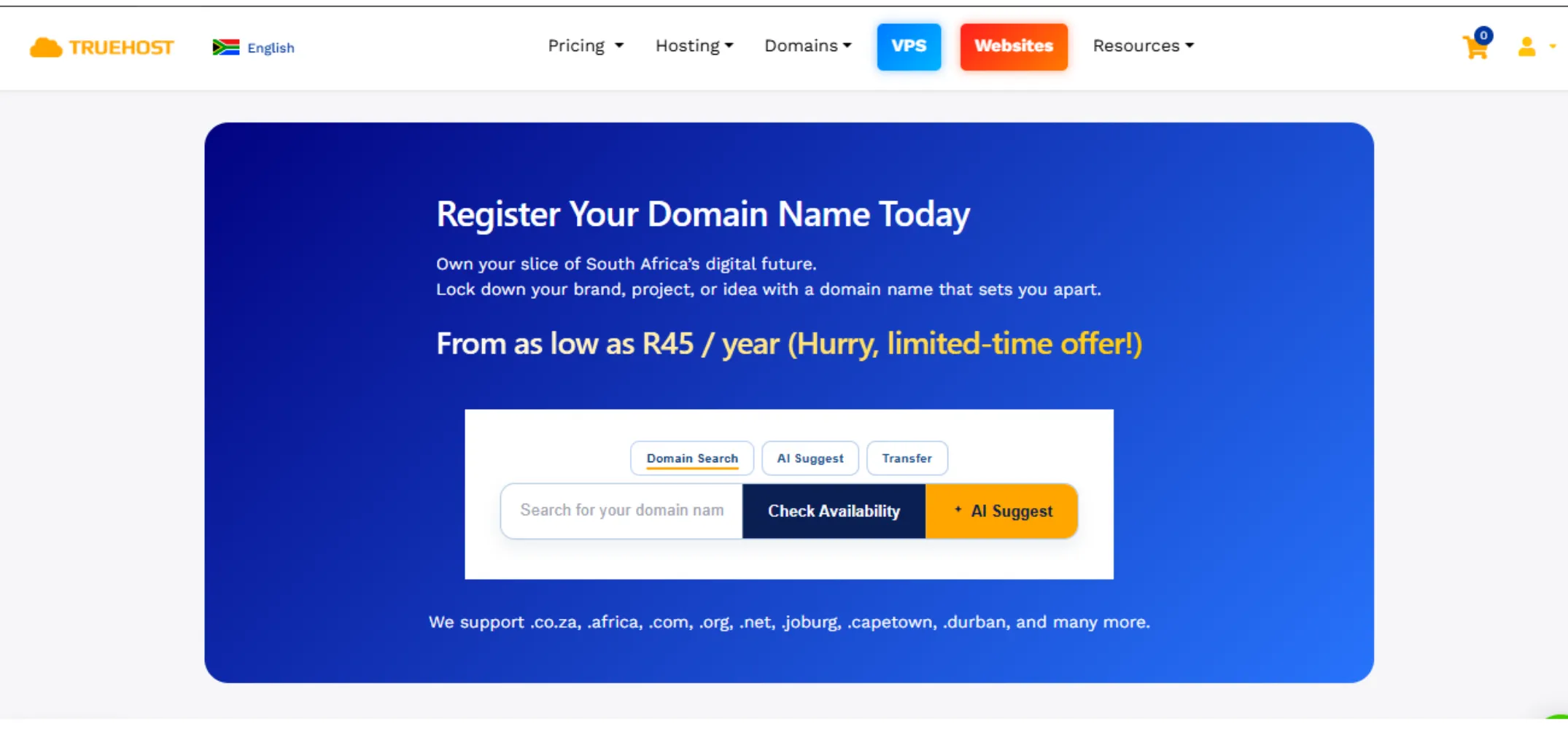 Truehost Domain Registrars in South Africa