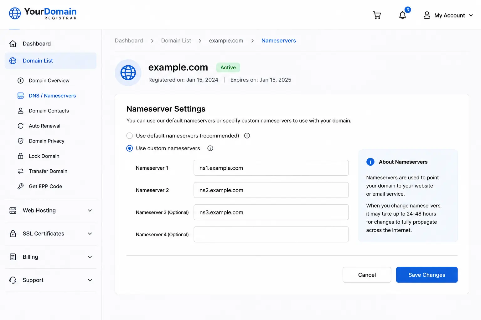 pointing the domain nameservers to your server