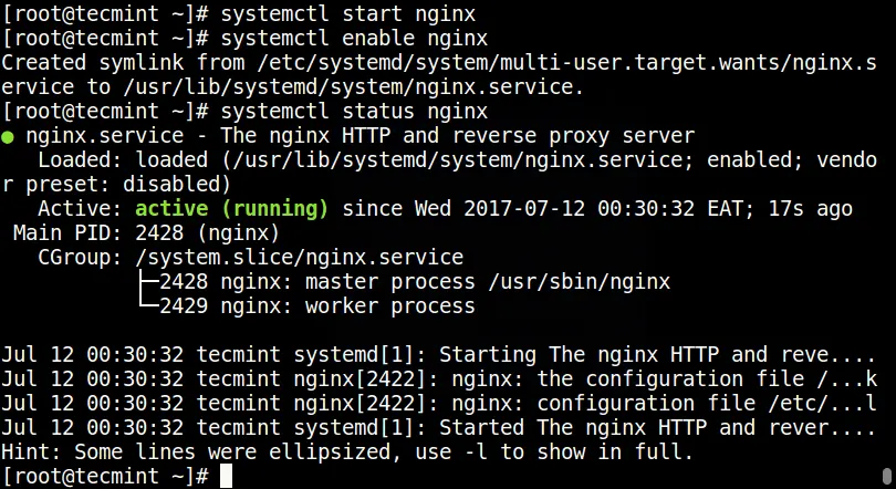 sudo nginx -t