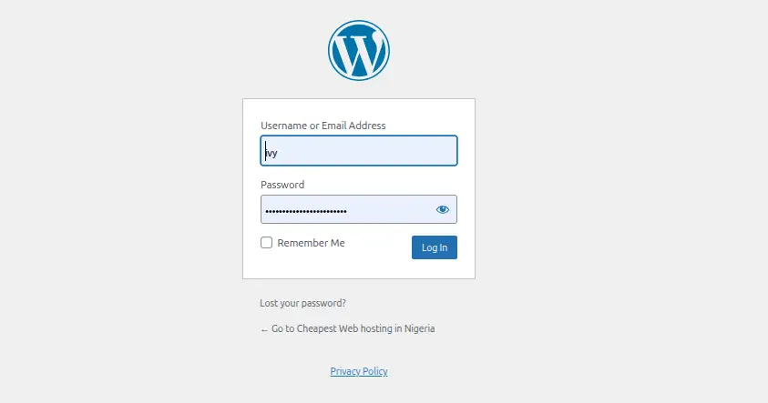 Log In to Your WordPress Dashboard