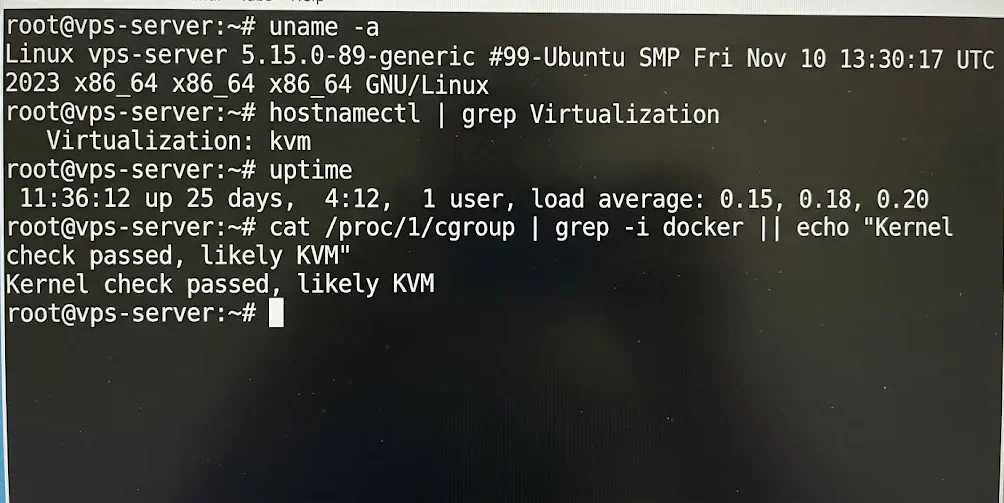 cat /proc/1/cgroup | grep -i docker || echo "Kernel check passed, likely KVM"