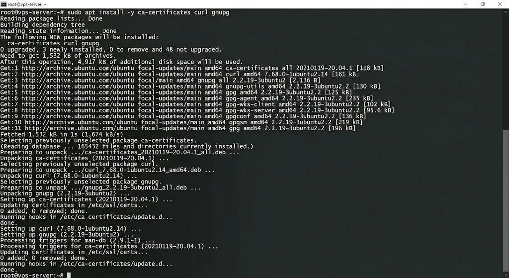 sudo apt install -y ca-certificates curl gnupg